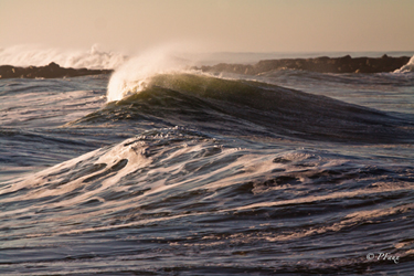 Patty Faux Art Titled: Weaver Of Waves