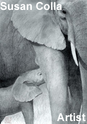 Susan Colla Art, Susan Colla Visual Artist, Ventura Susan Colla