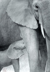 Susan Colla Art Titled: No Worries